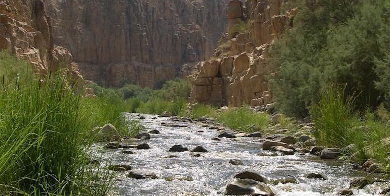 Discover Wadi Mujib