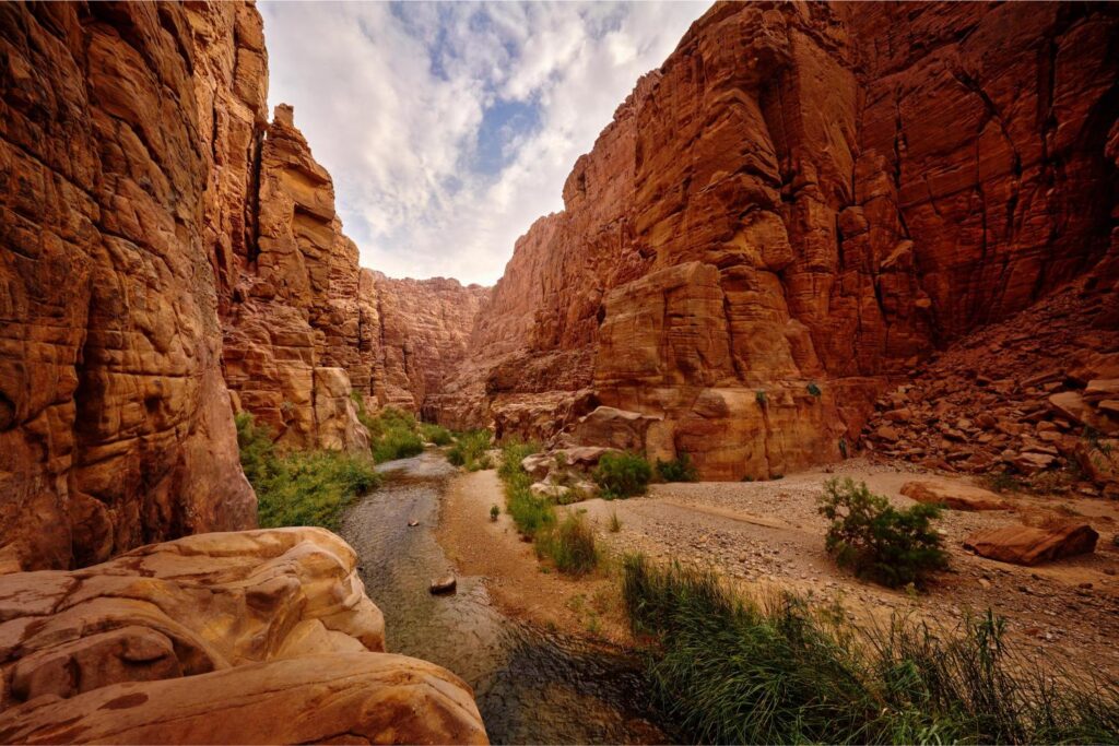flora and fauna in jordan Mujib Biosphere Reserve