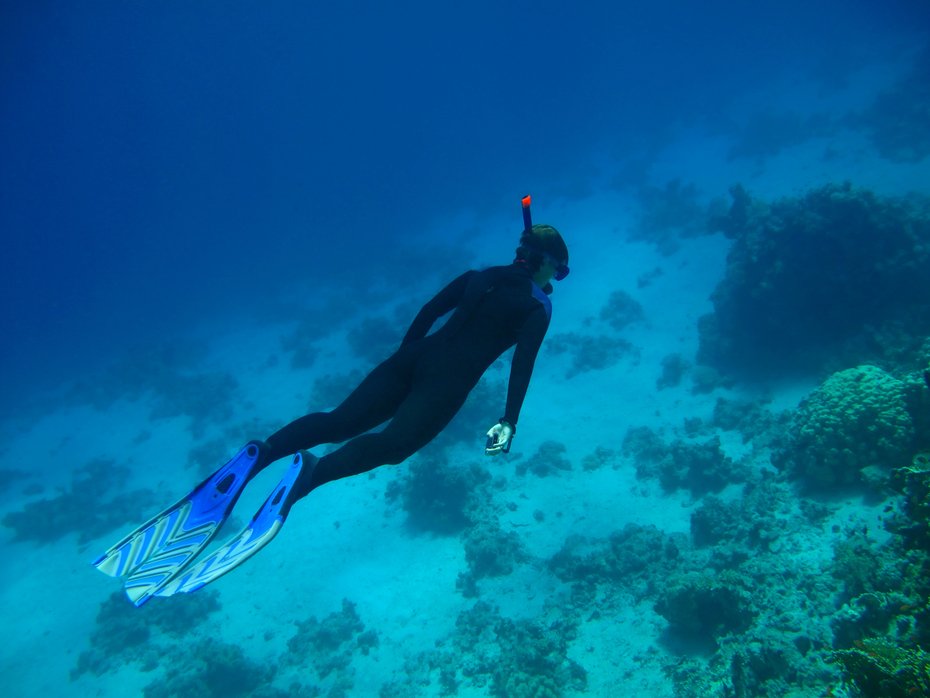tour package jordan activities snorkeling